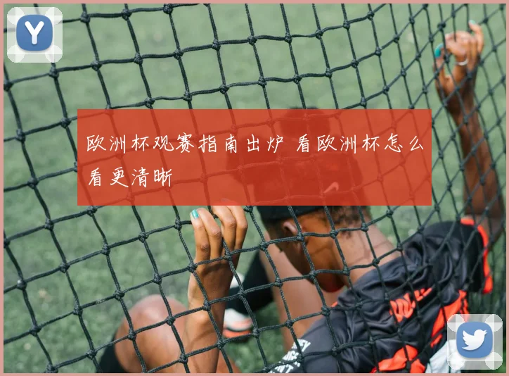 欧洲杯观赛指南出炉 看欧洲杯怎么看更清晰