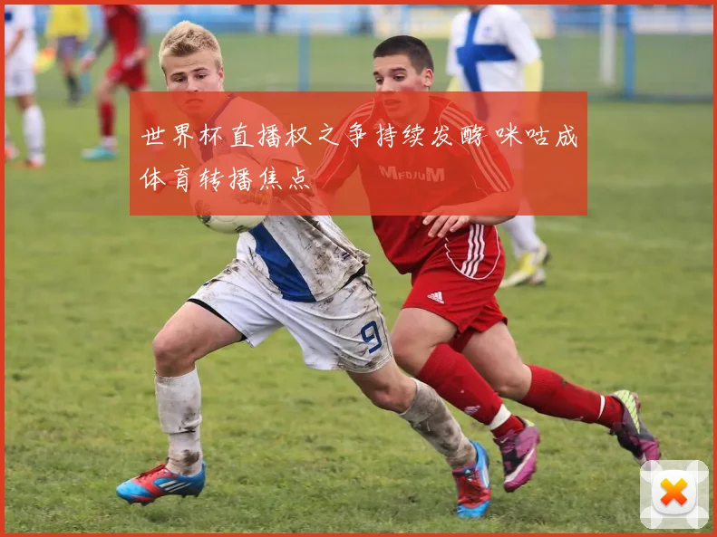 世界杯直播权之争持续发酵 咪咕成体育转播焦点