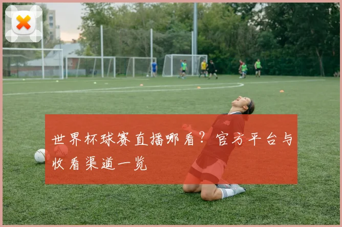 世界杯球赛直播哪看？官方平台与收看渠道一览