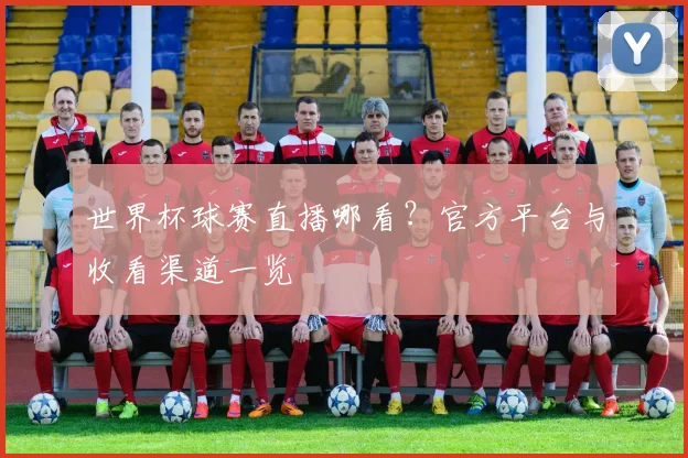 世界杯球赛直播哪看？官方平台与收看渠道一览
